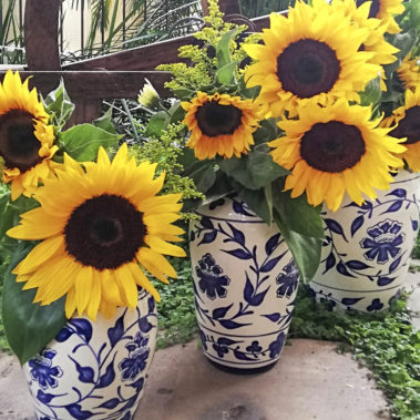 Vases, Capuchinas, Ceramic, Topis Ceramics, Cerámica, Ceramica, Floreros
