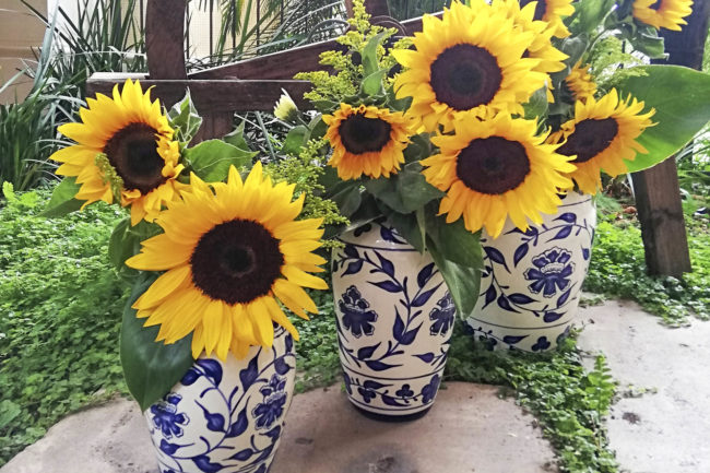 Vases, Capuchinas, Ceramic, Topis Ceramics, Cerámica, Ceramica, Floreros